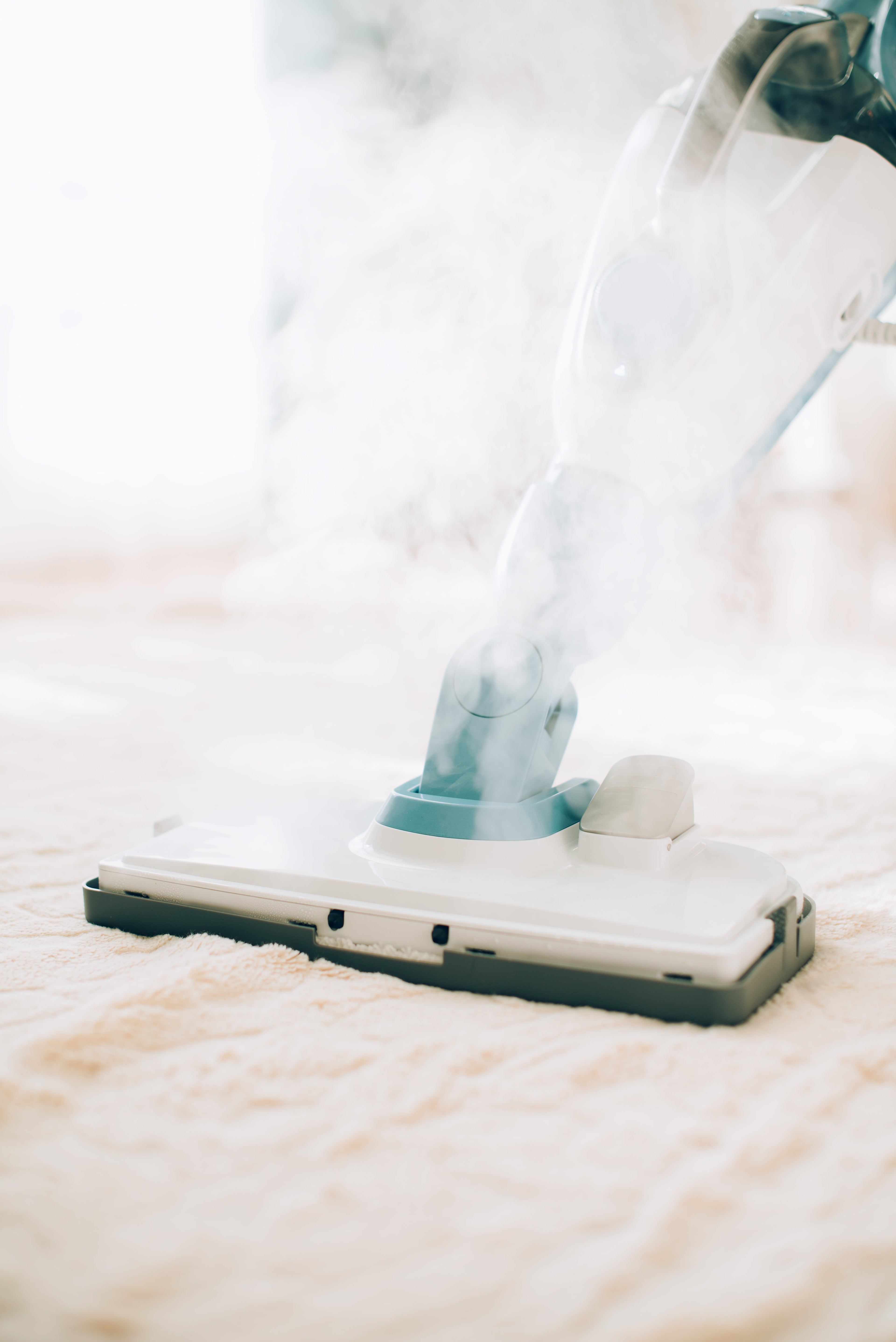 Carpet Clean