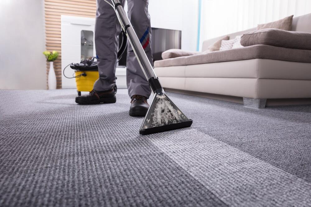 Commercial Carpet Cleaning Auckland