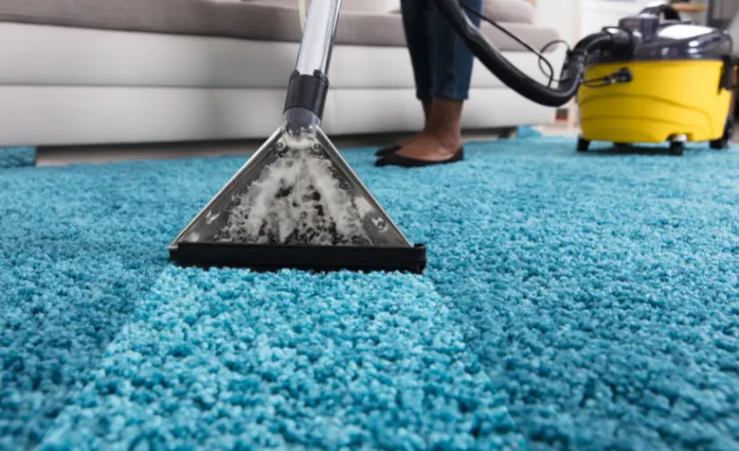 Carpet Cleaning Auckland