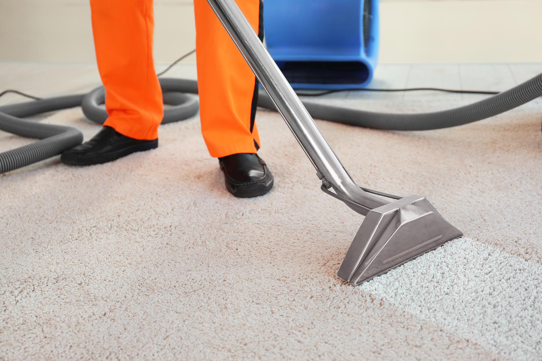 Professional Carpet Cleaning Auckland