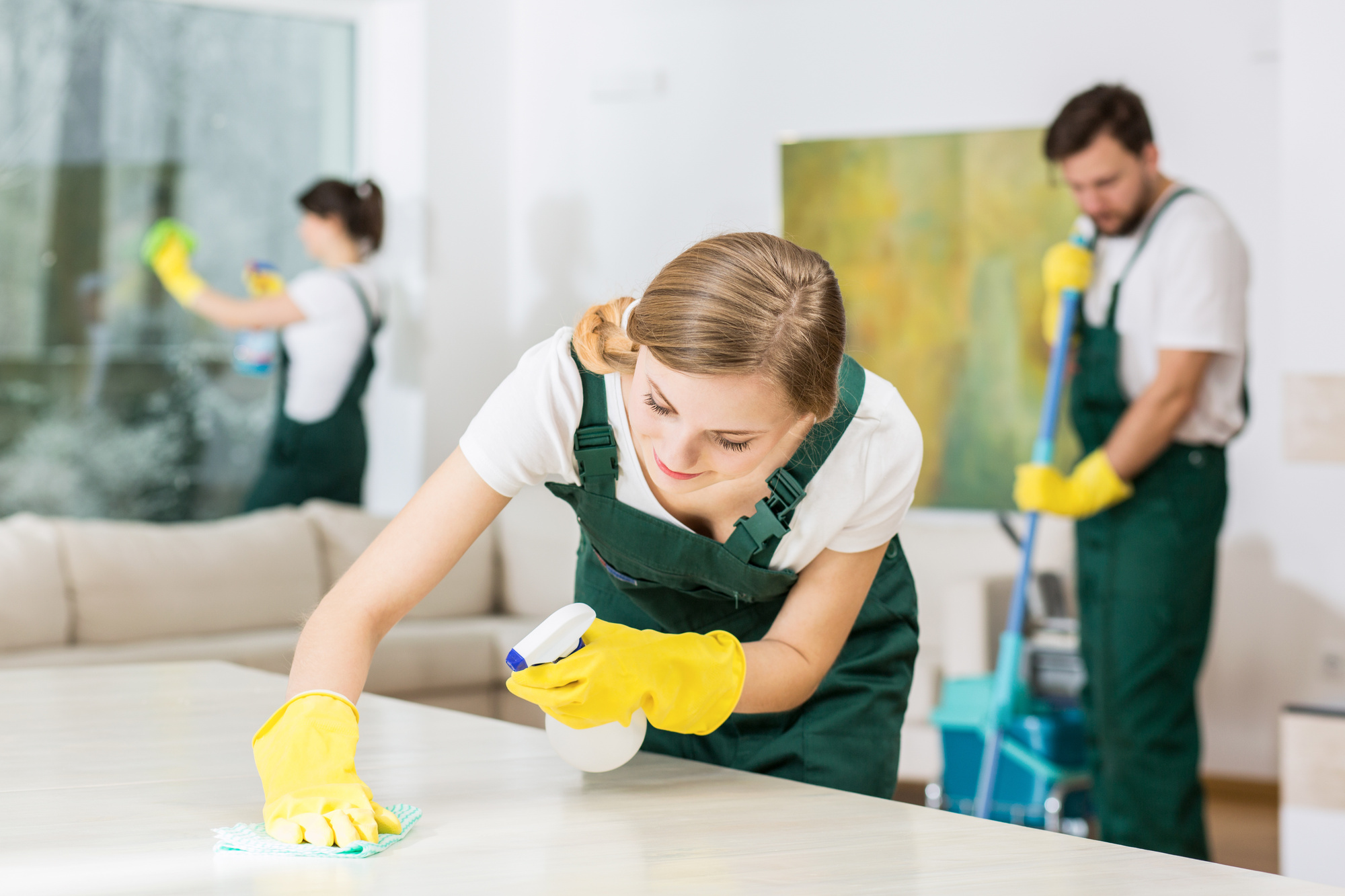 Professional House Cleaning Services Auckland